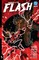 Absolute Flash Vol. 2: Still Point