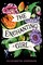 The Enchanting Girl