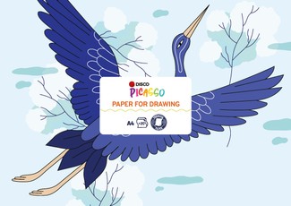 Piešimo albumas DISCO PICASSO