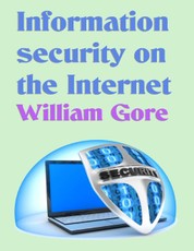 Information Security on the Internet