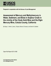 Assessment of Mercury and Methylmercury in Water, Sediment, and Biota in Sulphur Creek in the vicinity of the Clyde Gold Mine and the Elgin Mercury Mine, Colusa County, California
