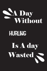 A day without hurling is a day wasted