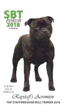 SBTboken 2018 english version