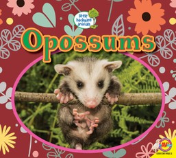Opossums