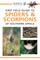 First Field Guide to Spiders & Scorpions of Southern Africa