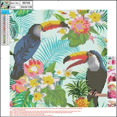 5D deimantinė mozaika „Tukanai“, 30x30 cm