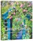 Cottage Gardens