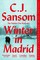 Winter in Madrid