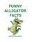 Funny Alligator Facts