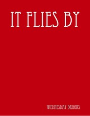 It Flies By