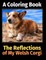 The Reflections of My Welsh Corgi