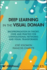 Deep Learning in the Visual Domain