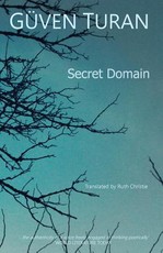 The Secret Domain