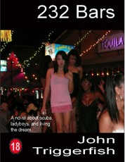 232 Bars:  A Novel About Scuba, Ladyboys, and Living the Dream