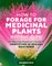 How to Forage for Medicinal Plants Without Dying