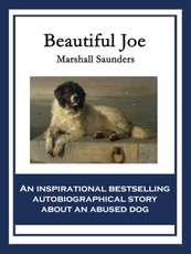 Beautiful Joe