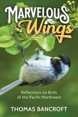 Marvelous Wings