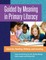 Guided by Meaning in Primary Literacy
