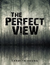 The Perfect View