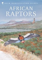 African Raptors