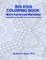 Big Kids Coloring Book