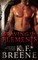 Braving the Elements (Darkness, 2)