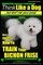 Bichon Frise, Bichon Frise Training, AAA AKC - Think Like a Dog - But Don't Eat Your Poop! - Bichon Frise Breed Expert Training