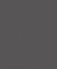 Spalvotas kartonas A1/160g grafitinis