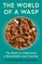 The World of a Wasp