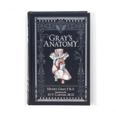 Gray's Anatomy (Barnes & Noble Collectible Classics: Omnibus Edition)