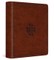 ESV Journaling Bible