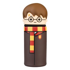 3D Penalas „Harry Potter“