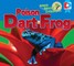 Animals of the Amazon Rainforest: Poison Dart Frog