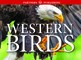 Western Birds