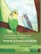 Little Parakeet, Story and Follow-Up Activities