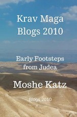 Krav Maga Blogs 2010