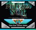 Netezza SQL