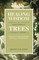 Healing Wisdom of Trees