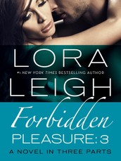 Forbidden Pleasure: Part 3