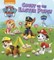 Count on the Easter Pups! (Paw Patrol)