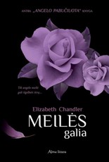 Meilės galia. Ciklo „Angelo pabučiuota“ 2-oji knyga