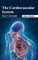 Cardiovascular System: Key Concepts