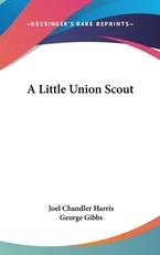 A Little Union Scout