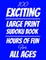 100 Exciting Large Print Sudoku Book