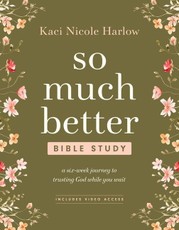 So Much Better Bible Study with Streaming Video Access