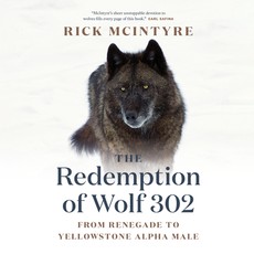 The Redemption of Wolf 302