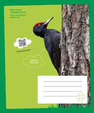 Sąsiuvinis MELETA, 12 l., langeliais, nuo 3 kl.