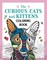 Curious Cats and Kittens