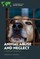 Animal Abuse and Neglect