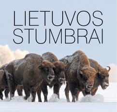 Lietuvos stumbrai